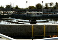 sewage2